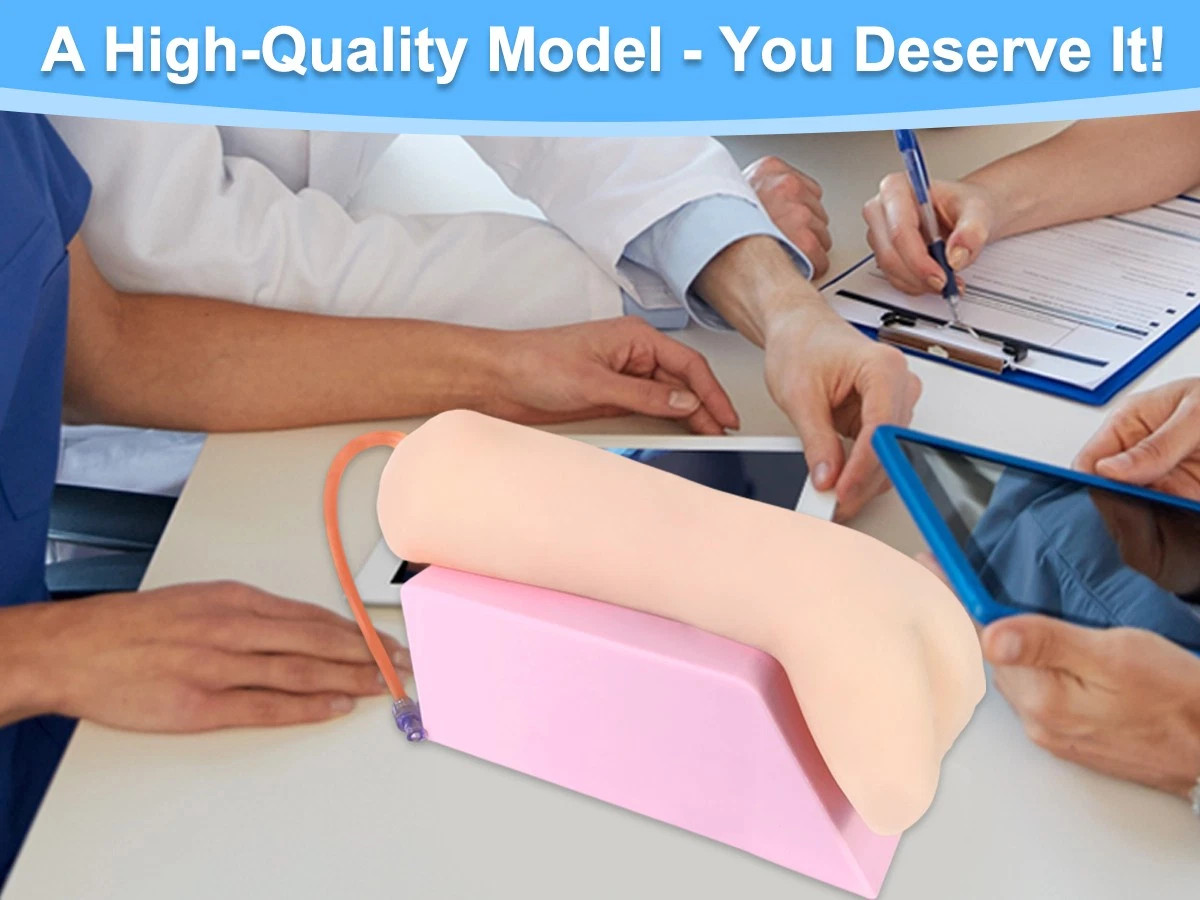 Ultrasound-Guided Radial Artery Cannulation Reusable IV Vascula Training Models