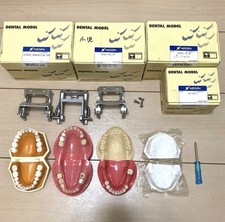 NISSIN Dental Typodont Models 4 Sets w/ 3 Articulators Training Japan picture