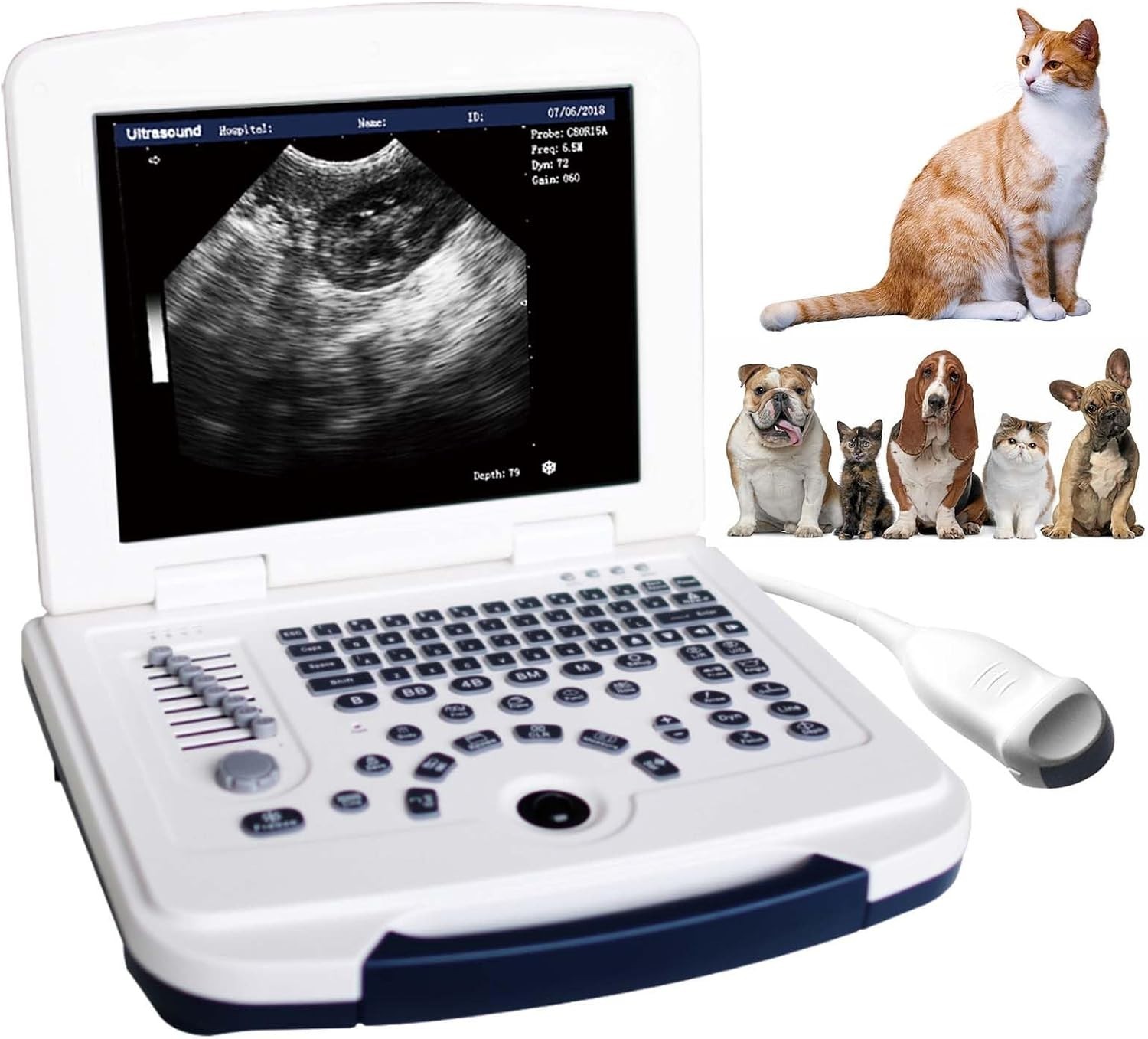 DAWEI Mu10 Veterinary Ultrasound Machine Scanner with Waterproof Probe