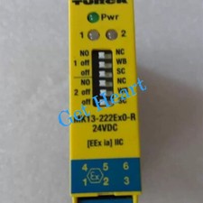 1PCS TURCK MK13-222EX0-R/24VDC safety relay FedEx or DHL or UPS picture