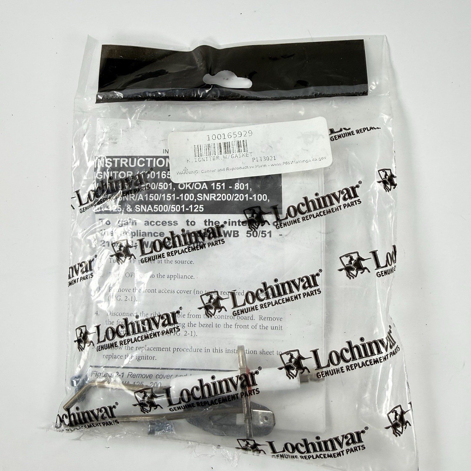 Lochinvar Ignitor W/Gasket  100165929 PLT3021 New Old Stock