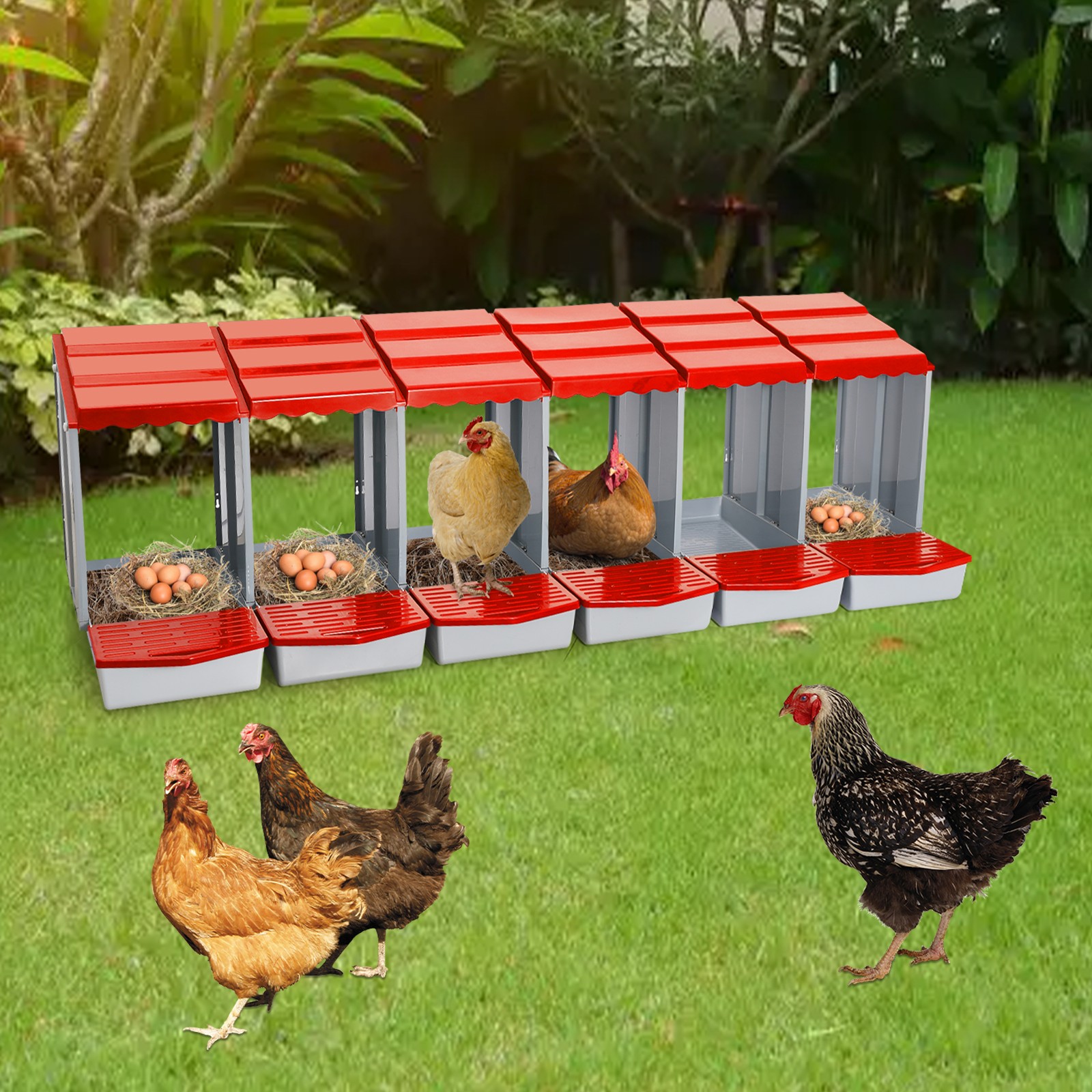 6-Compartment Chicken Nesting Box PP Red Wall-Mount Freestanding for ...