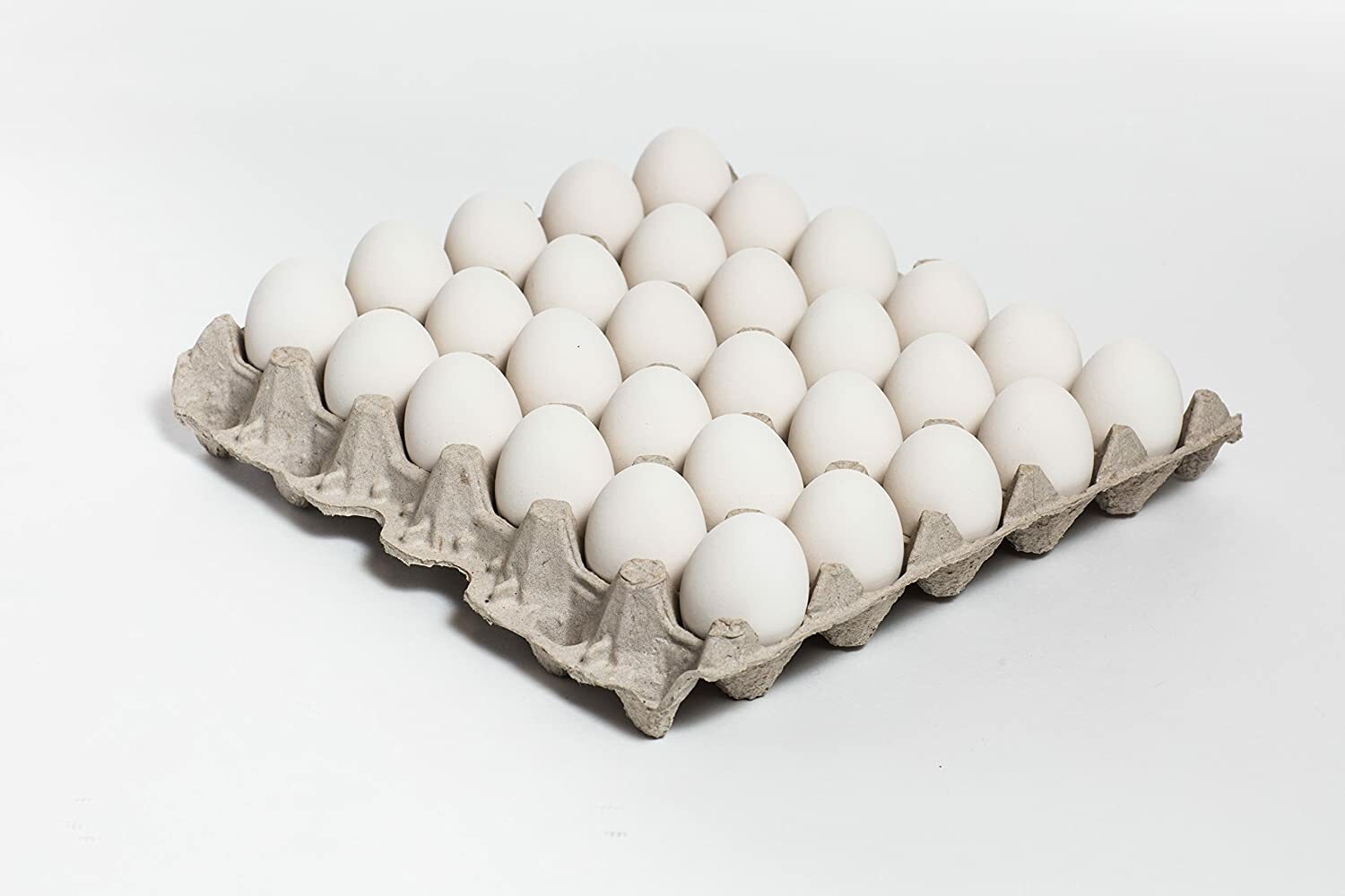 60 New 30 Count Egg Trays Crates Flats Crickets Geckos Lizards MADE IN THE USA