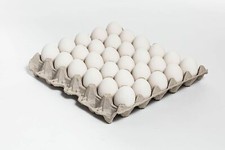 60 New 30 Count Egg Trays Crates Flats Crickets Geckos Lizards MADE IN THE USA picture