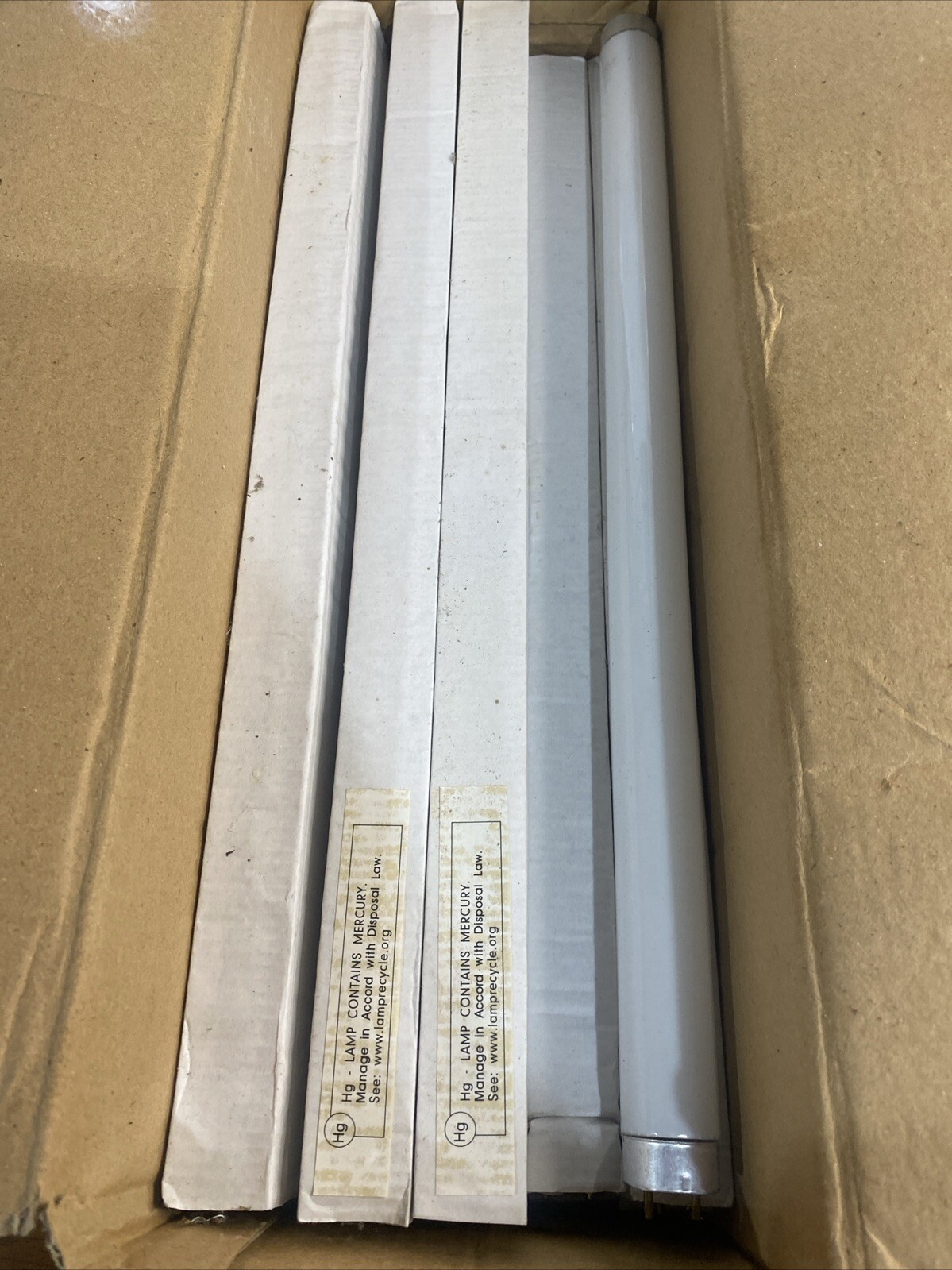 13count.  F15T8/CW 18” 15W  WHITE FLUORESCENT Lamp.  C1G
