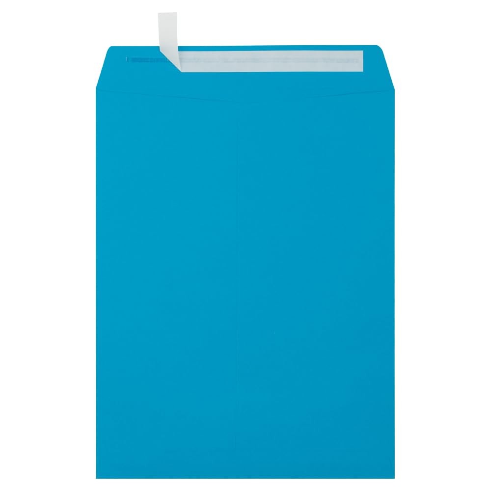 LUXPaper 10x13 Open End Envelopes Pool Blue 80lb Text 250 Count