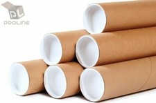 Premium Kraft Mailing Shipping Poster Tubes with Plastic End Caps 3