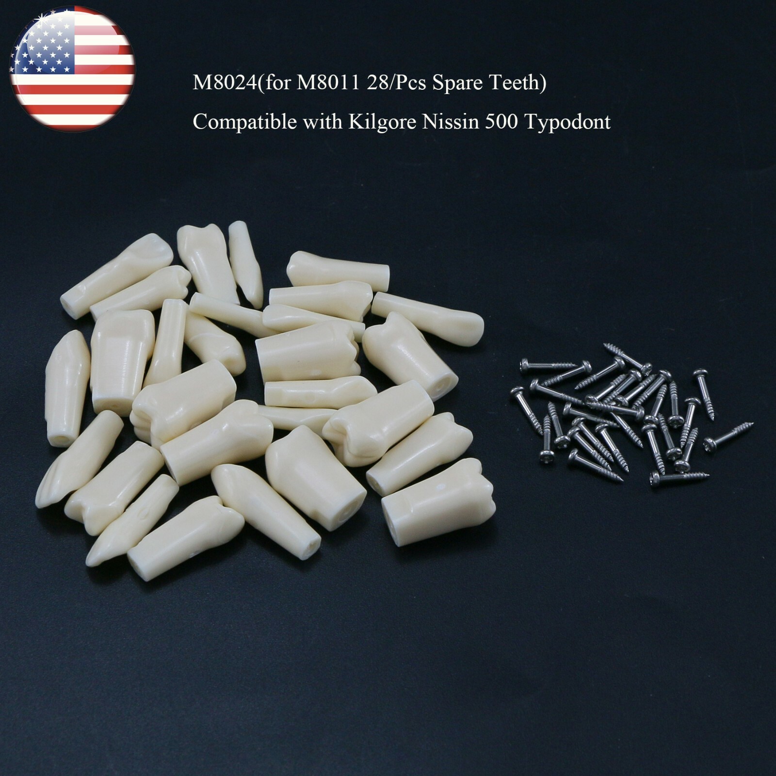 Dental Typodont Replacement Screw-in Teeth Model fit Kilgore NISSIN 200/500 Type