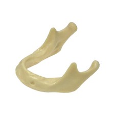 Dental Implant Mandible Jaw Model Basic Drilling Insertion Practice M2022 picture