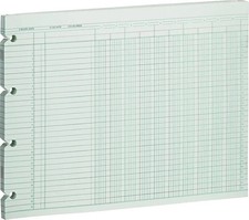 Wilson Jones G1010 Accounting Sheets, 10 Column, 9-1/4 x 11-7/8, Green picture
