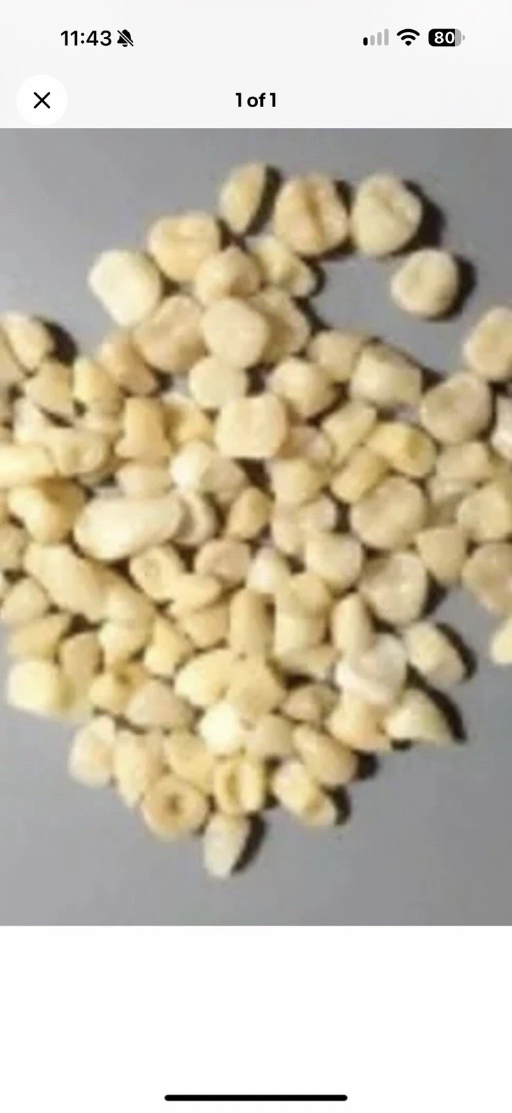 BAG OF 100 LOOSE TEETH OF DIFFERENT SIZES AND SHADES