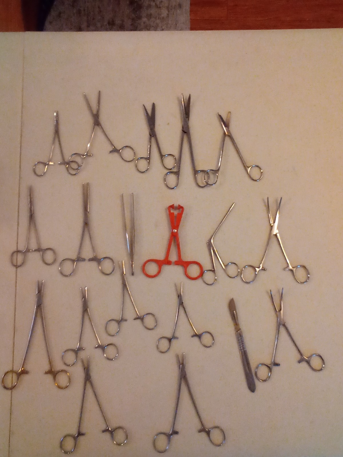 Various Veterinary Surgical Instruments Total Of 19 Items (a)