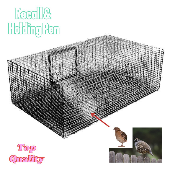 new best Quail Recall & Holding Pen heavy gauge galvanized wire for long life new best Quail Recall & Holding Pen heavy gauge galvanized wire for long life