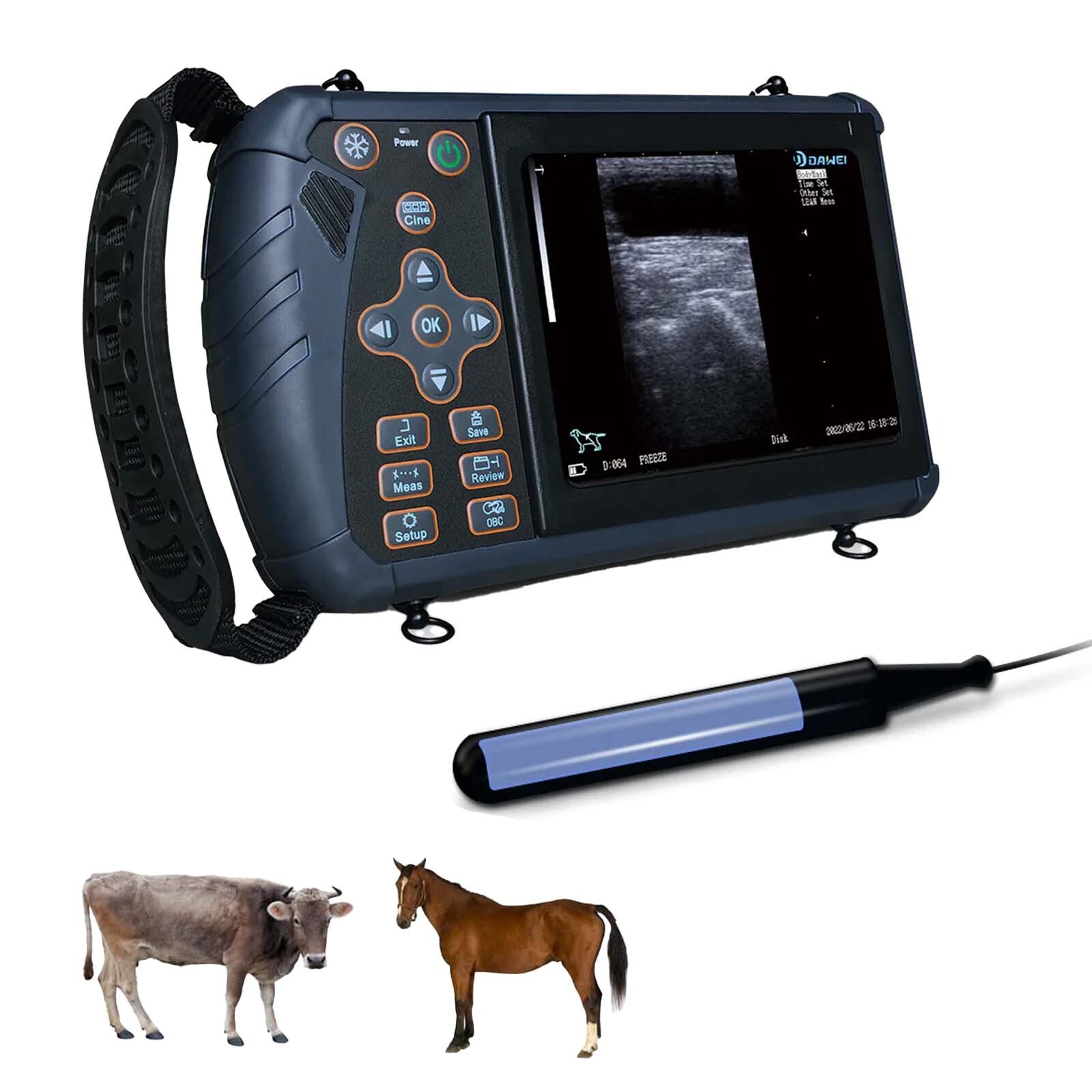 DAWEI Professional Veterinary Ultrasound Machine with rectal or convex probe