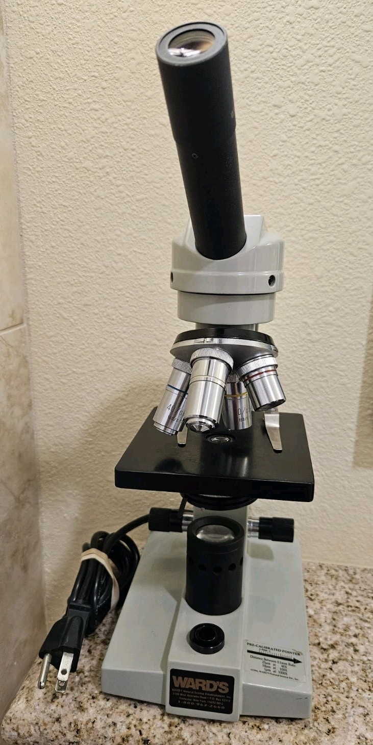 Vintage Ward's 4-Objective Lab Microscope 1000x 100x Oil Immersion Tested Vintage Ward's 4-Objective Lab Microscope 1000x 100x Oil Immersion Tested