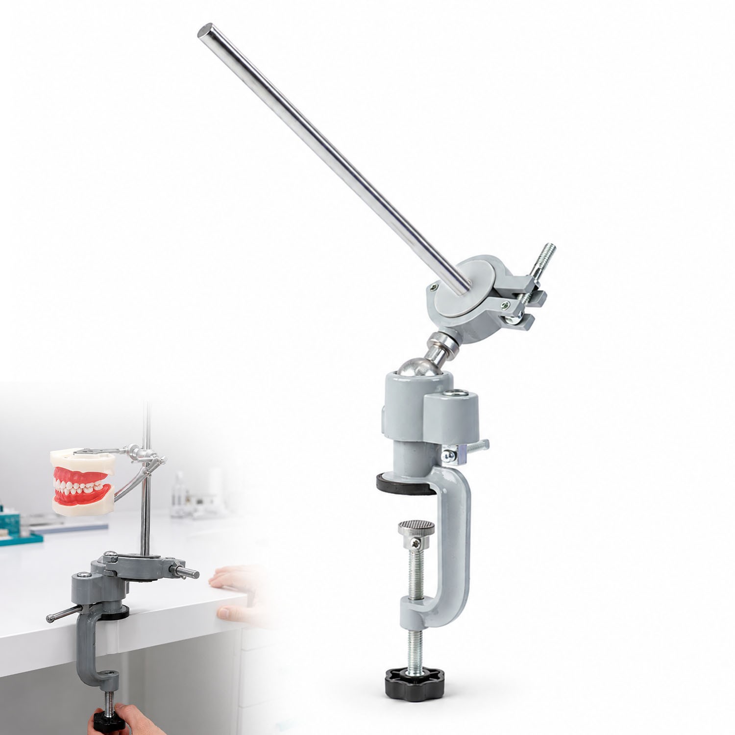 Dental Typodont Mounting Pole, 360° Rotating C‑Clamp Holder for Dental Training