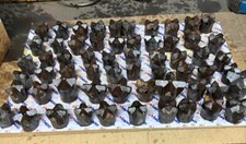 1 1/2” To 2 1/2” CARBIDE ROCK CROSS DRILL BITS 62 In Different Sizes picture