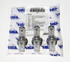 Cat Pumps 76260 Valve Kit 67DX39G1I OEM picture