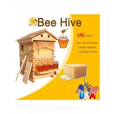 Automatic Beehive Starter Kit Cedarwood Beekeeping Box with 7pcs Auto Bee Frames picture