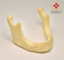 10PCS Dental Mandible Jaw Model for Basic Drilling Implant Insertion Practice picture