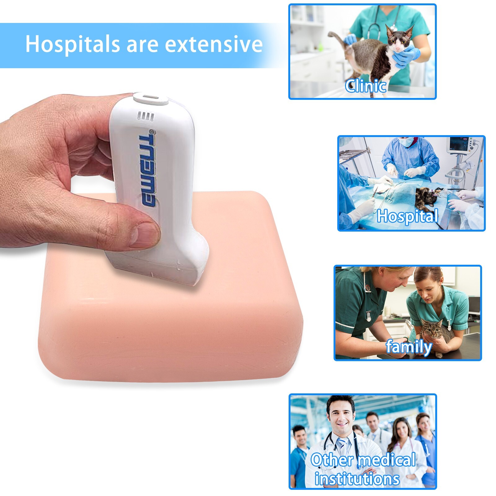Ultrasound Guided Nerve Block Puncture Mini Model, Ultrasound Puncture Training