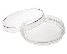 CELLTREAT 100mm x 15mm Petri Dish w/Grip Ring, 500/Case, Sterile, #229693 picture
