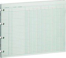 Wilson Jones G1010 Accounting Sheets, 10 Column, 9-1/4 x 11-7/8, Green picture