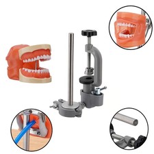 Dental Typodont Mounting Pole & 32 Removable Teeth Model Set - 360° Rotating USA picture