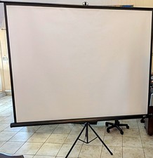 Elite Screens 100