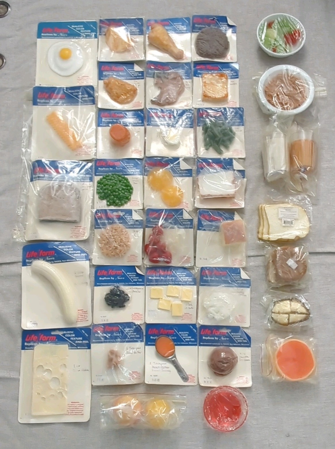 Nasco Vintage 2002 Life Form Food Replica Lot 37x Nutrition Training New & Used