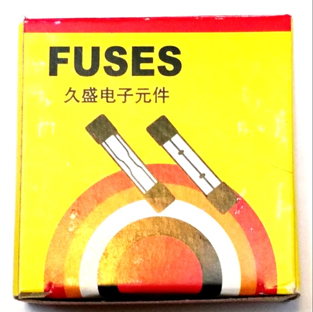 20MMx5MM FAST BLOW GLASS FUSES *PACK OF 100* F6A250V 6A  FAST SHIPPING USA